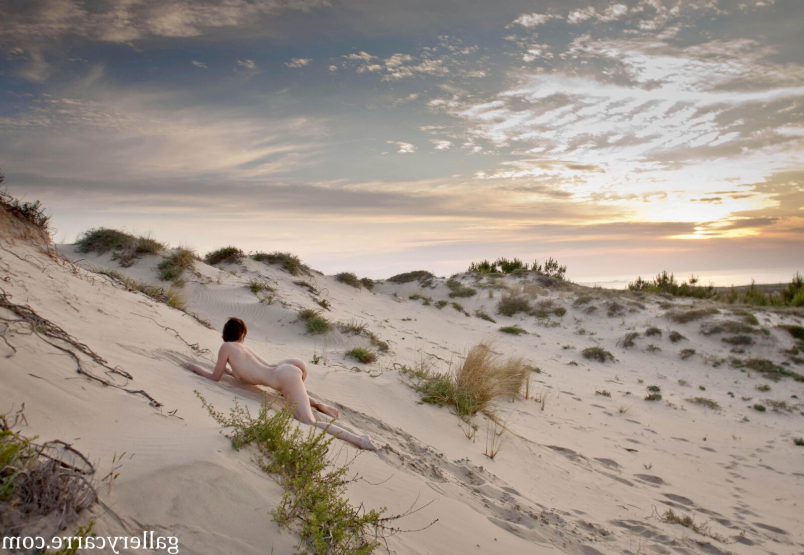 MoreyStudio Carre Diana Dunes