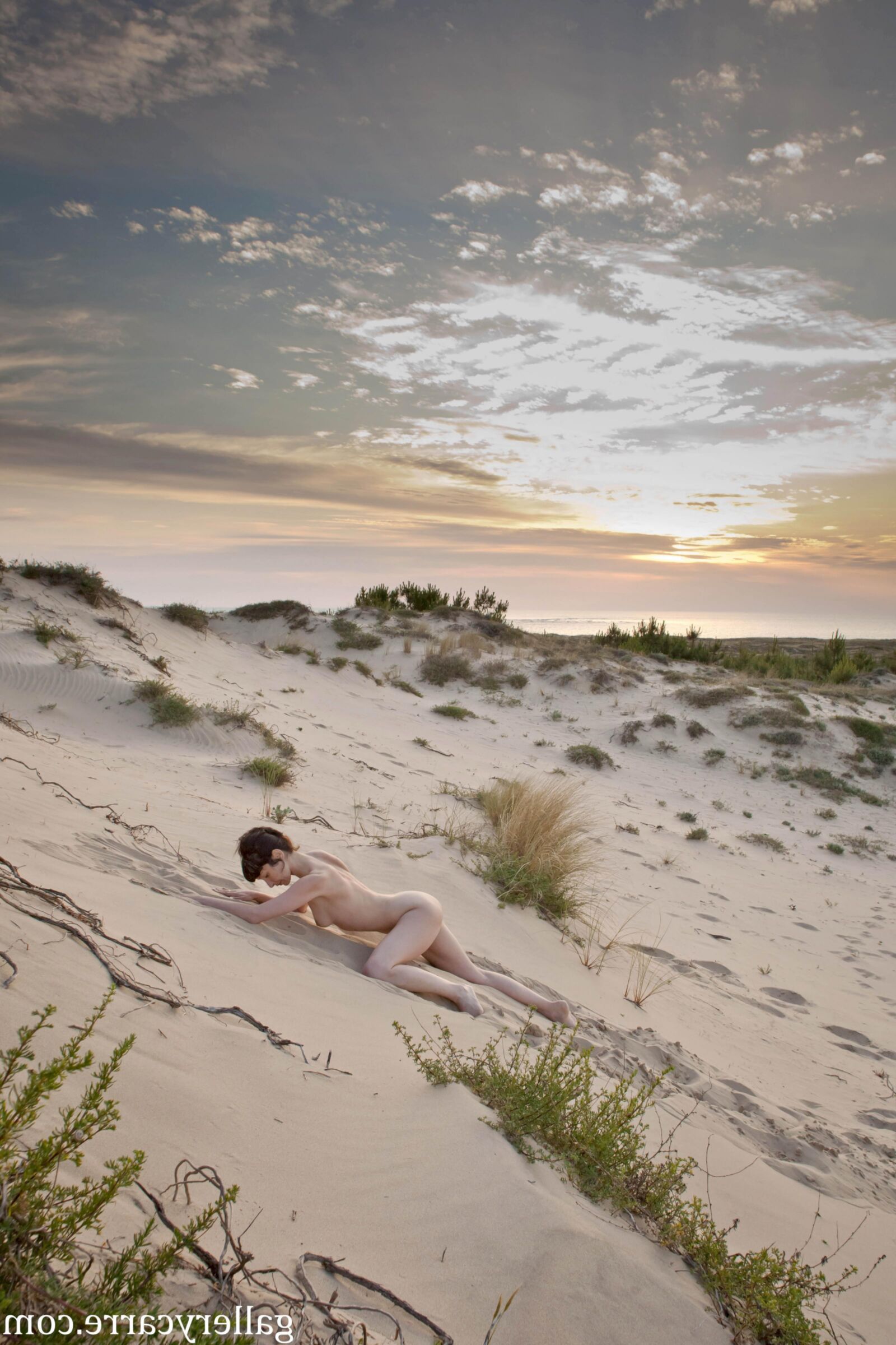 MoreyStudio Carre Diana Dunes