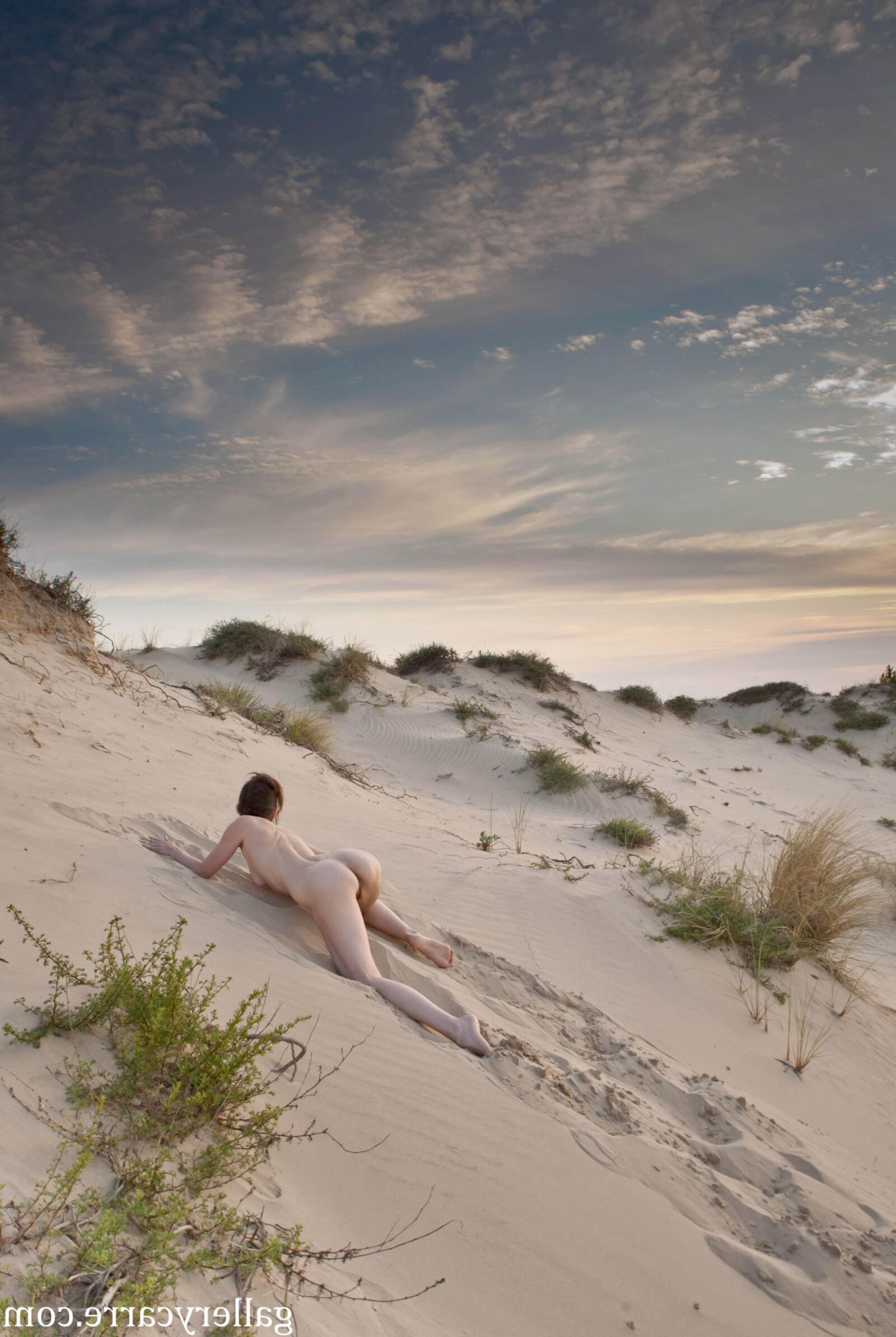 MoreyStudio Carre Diana Dunes