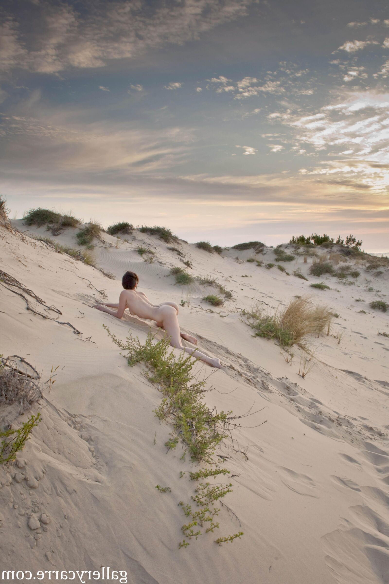 MoreyStudio Carre Diana Dunes