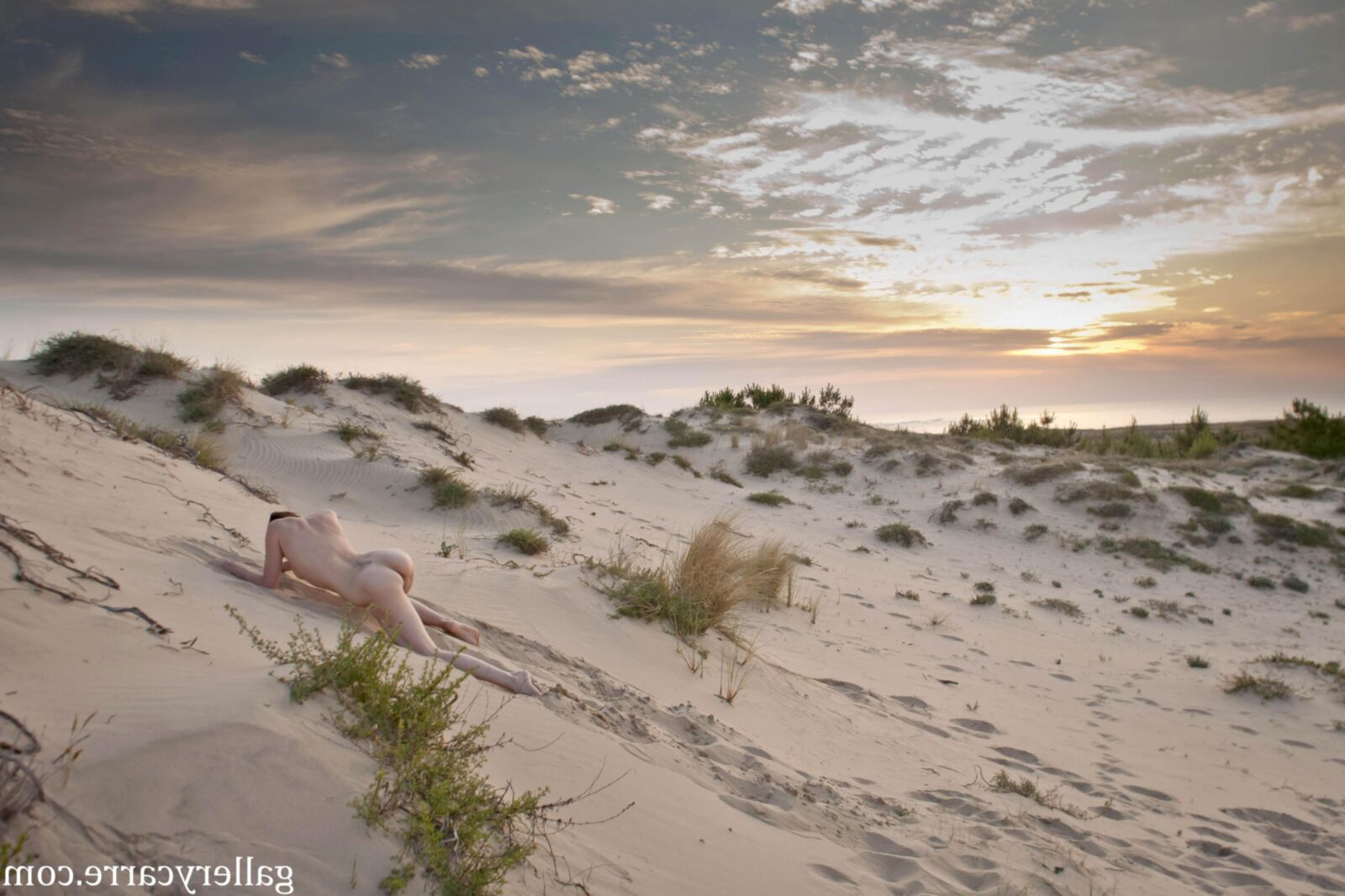 MoreyStudio Carre Diana Dunes