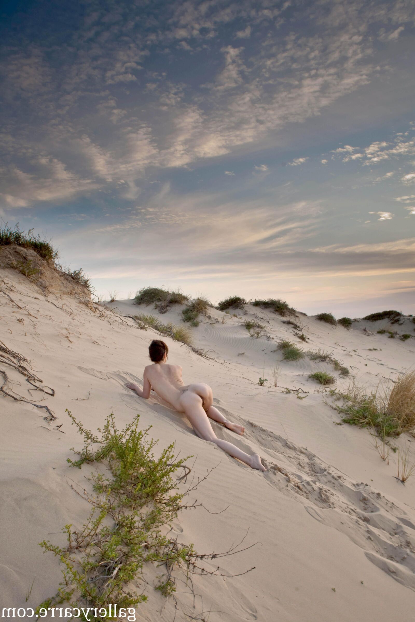 MoreyStudio Carre Diana Dunes