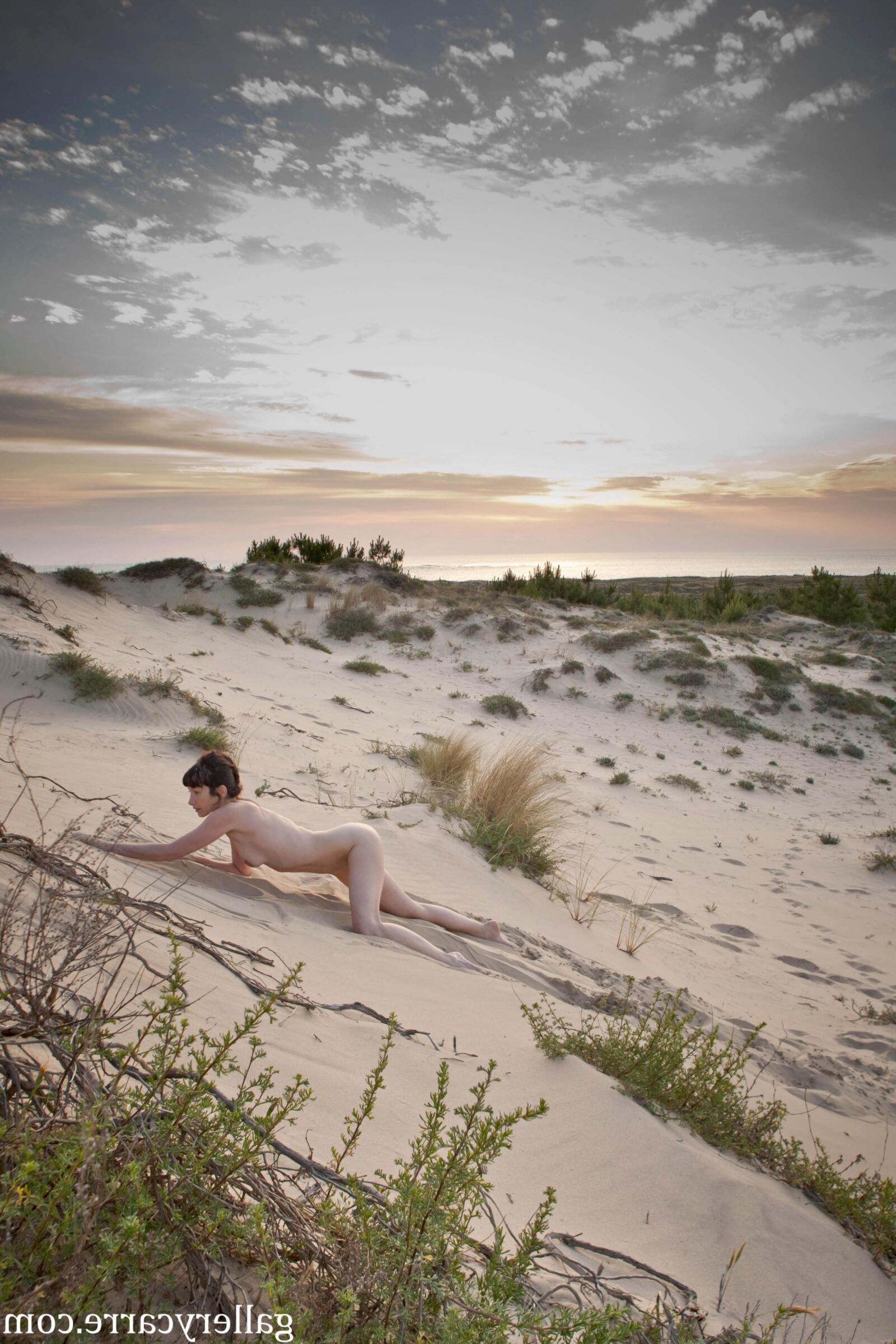 MoreyStudio Carre Diana Dunes
