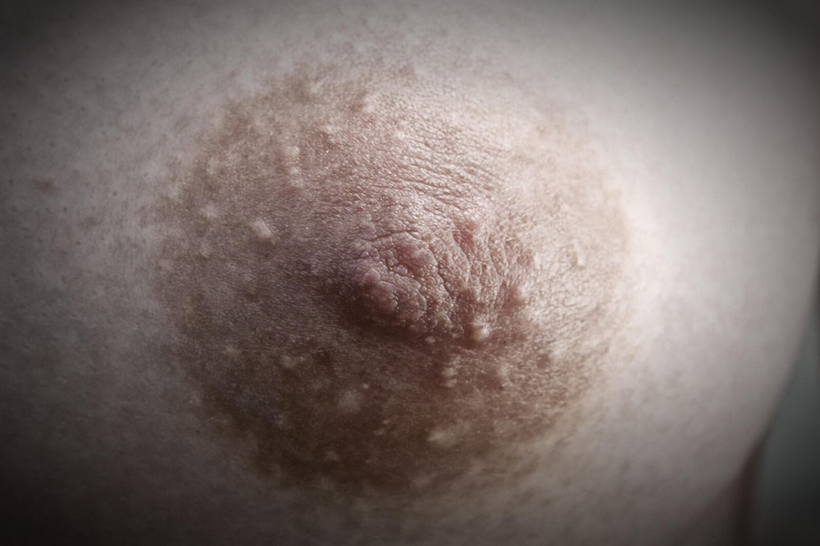 Nippel Nahaufnahmen