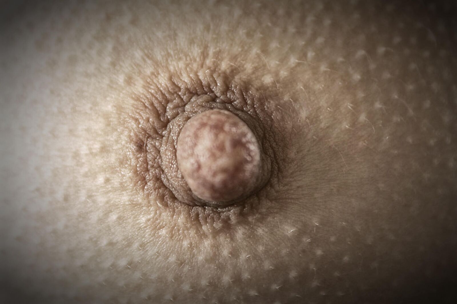 Nippel Nahaufnahmen