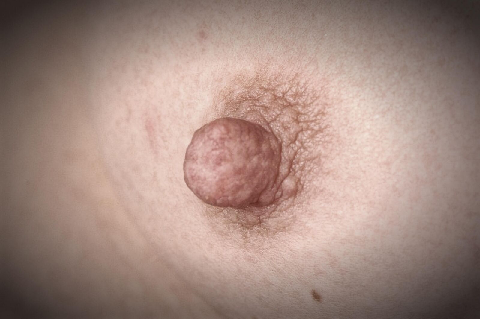 Nippel Nahaufnahmen