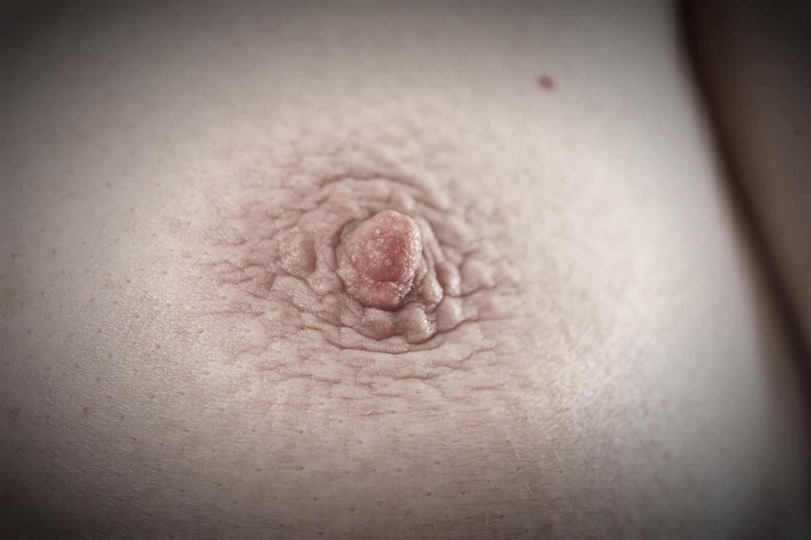 Nippel Nahaufnahmen