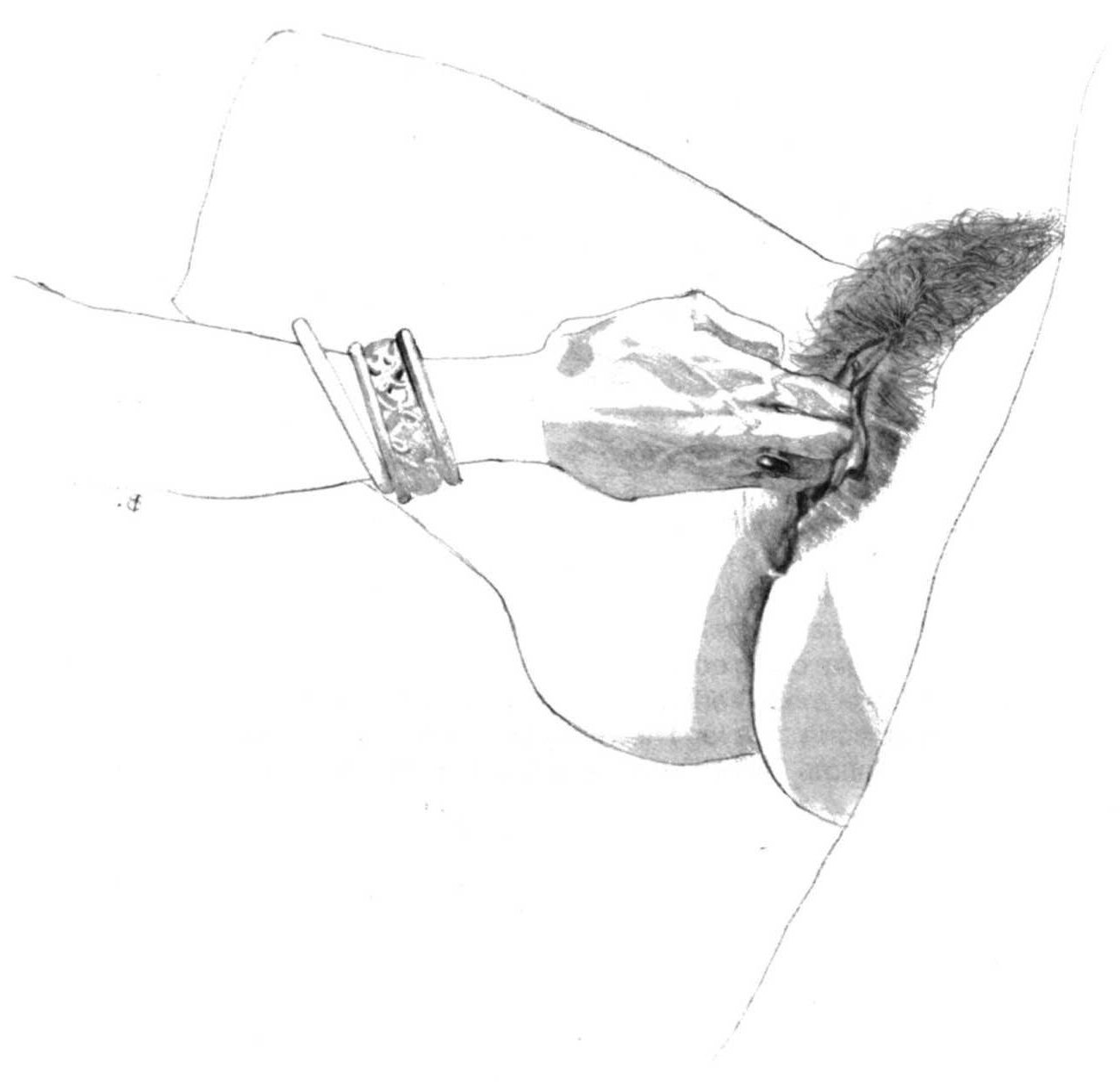 Arte erótica de Robert Baxter