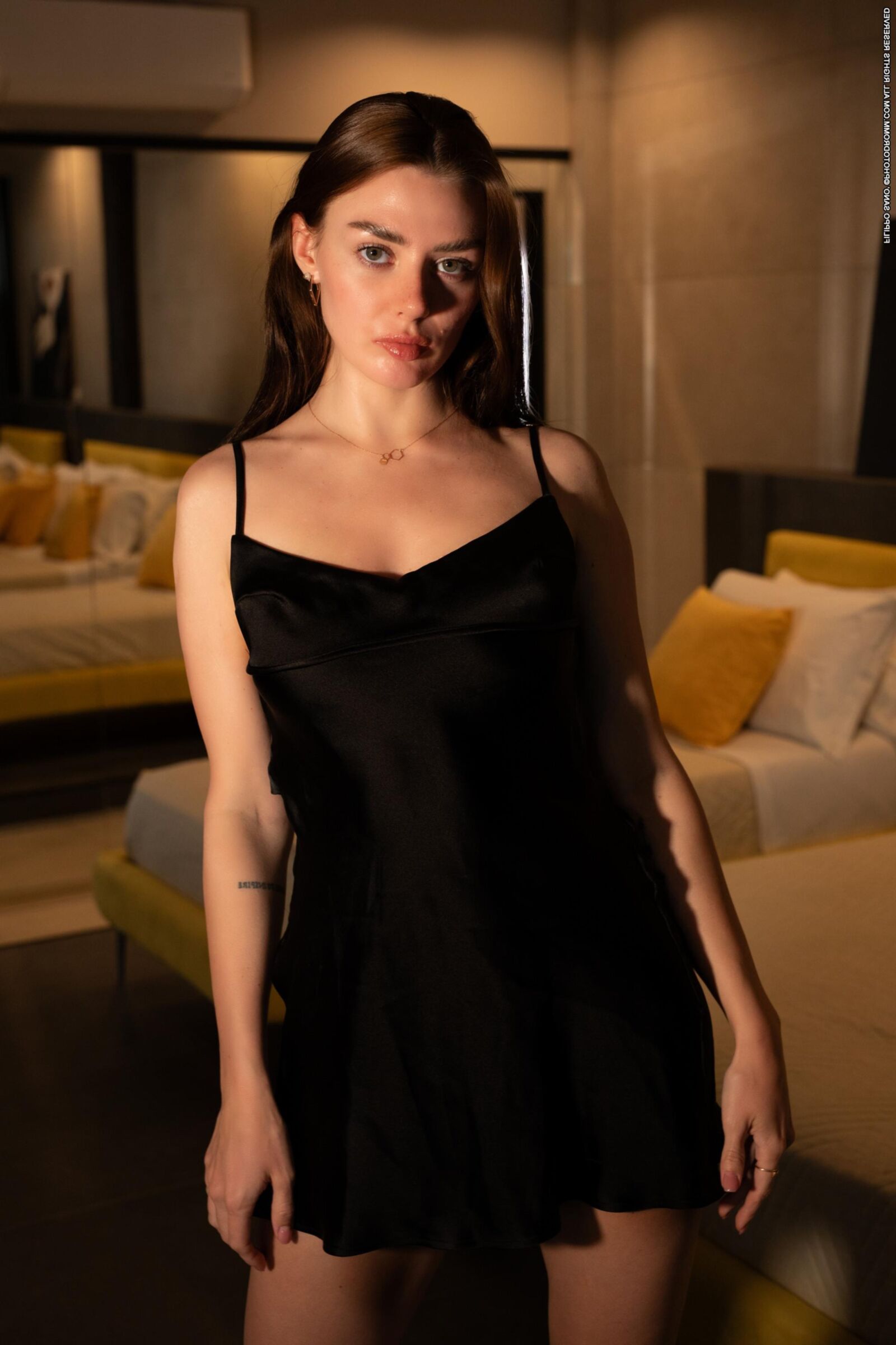 photodromm  Bella Interior Reports