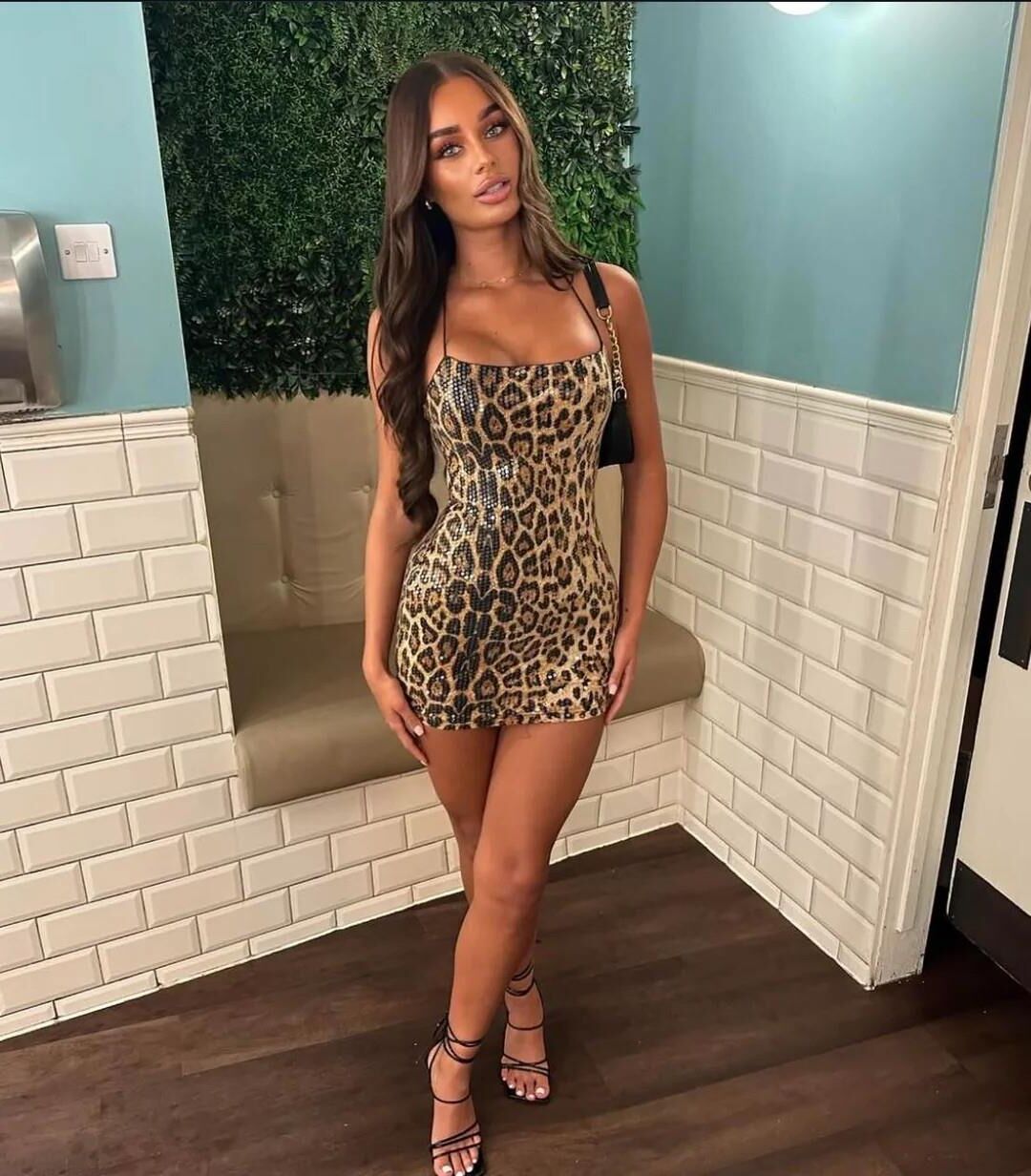 Animal Print 