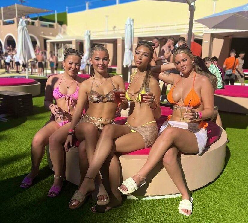 choose your slut 