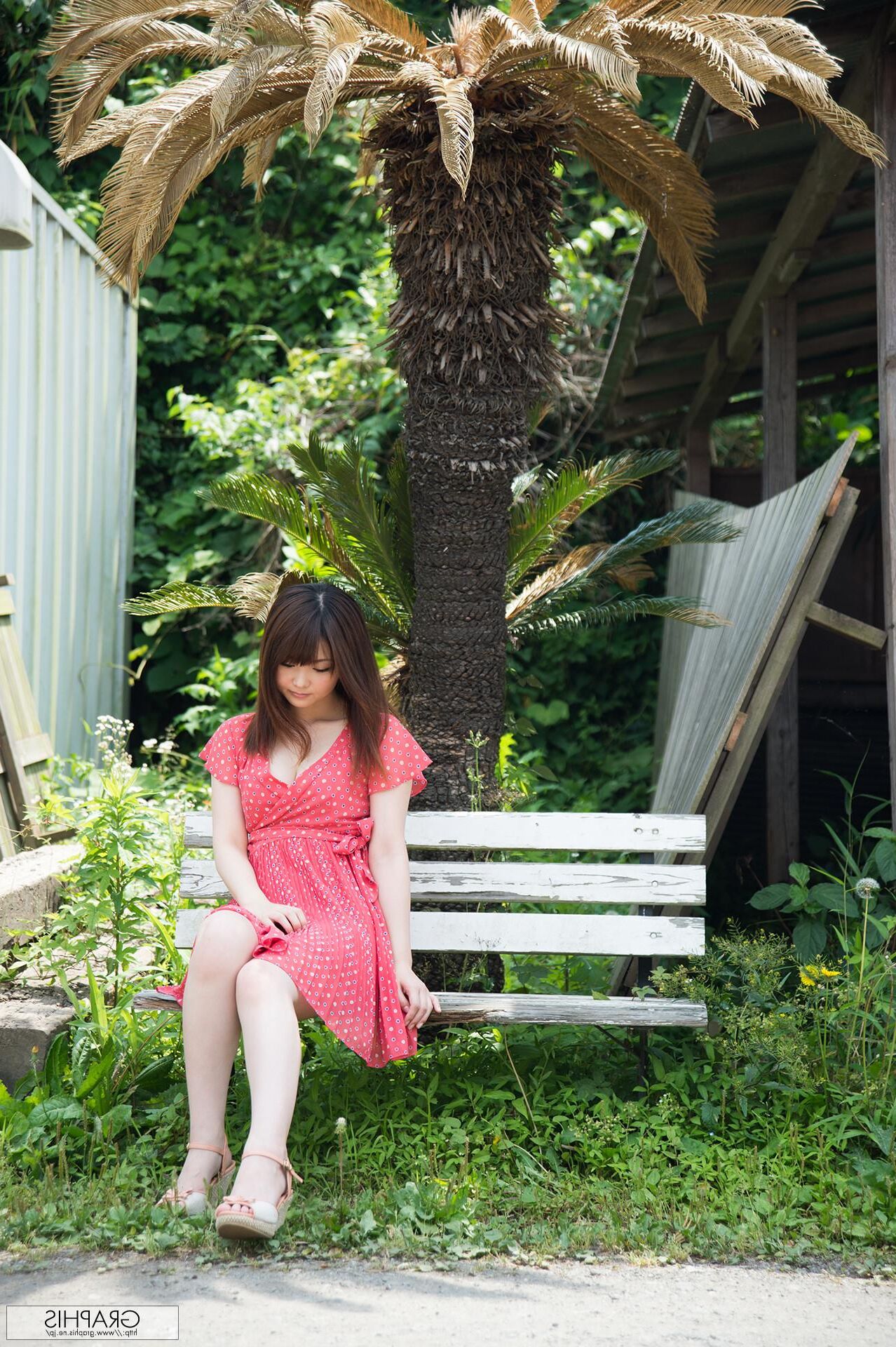 Rui Hiduki Graphisgals No. Wildcat