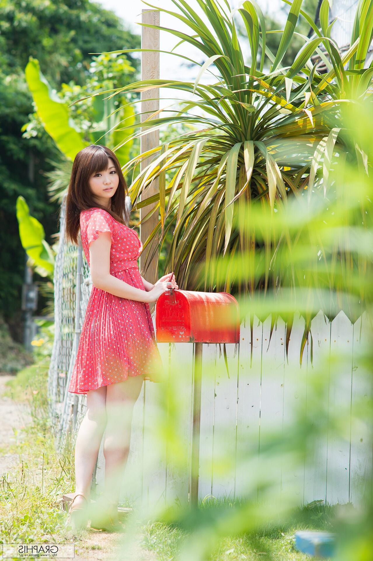 Rui Hiduki Graphisgals No. Wildcat