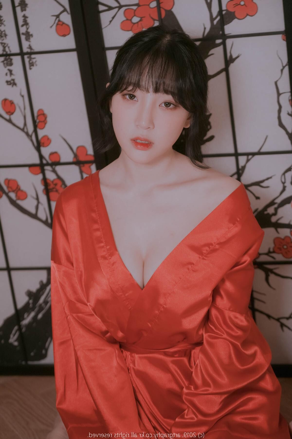 Kang Inkyung Artgravia Vol。