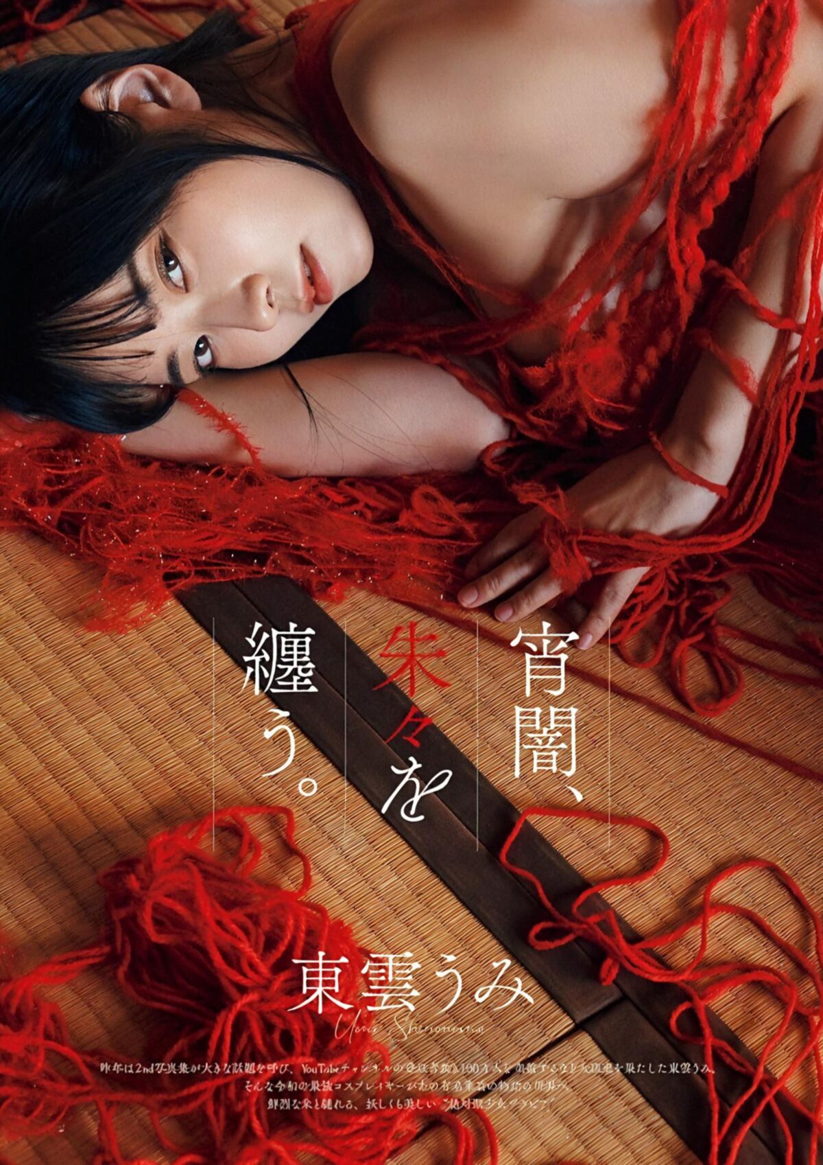 UMI Shinonome Gravure The Television vol.