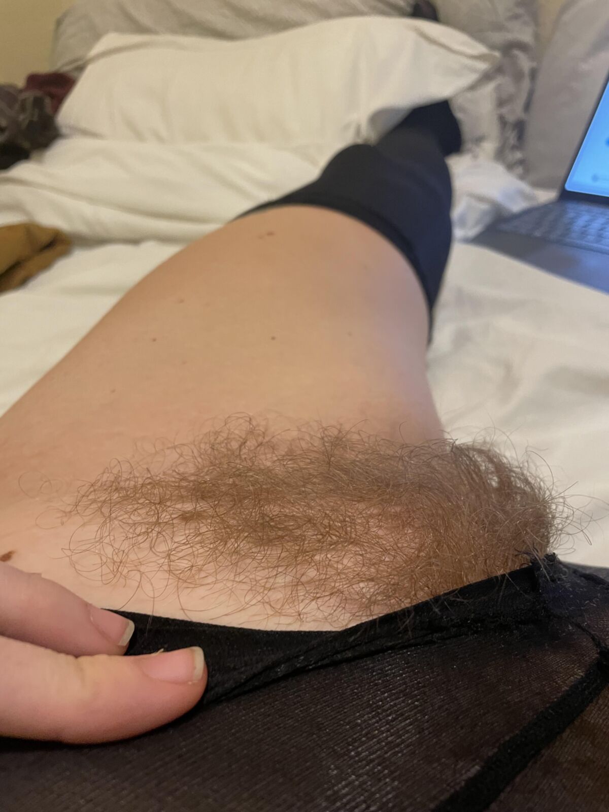 Seu pov peludo