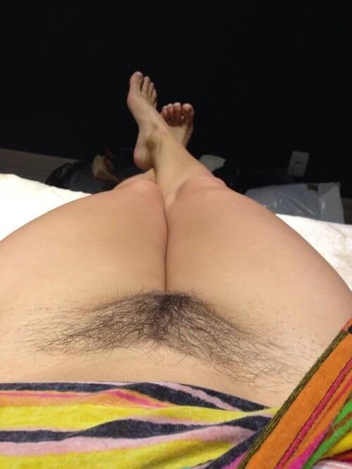 Seu pov peludo