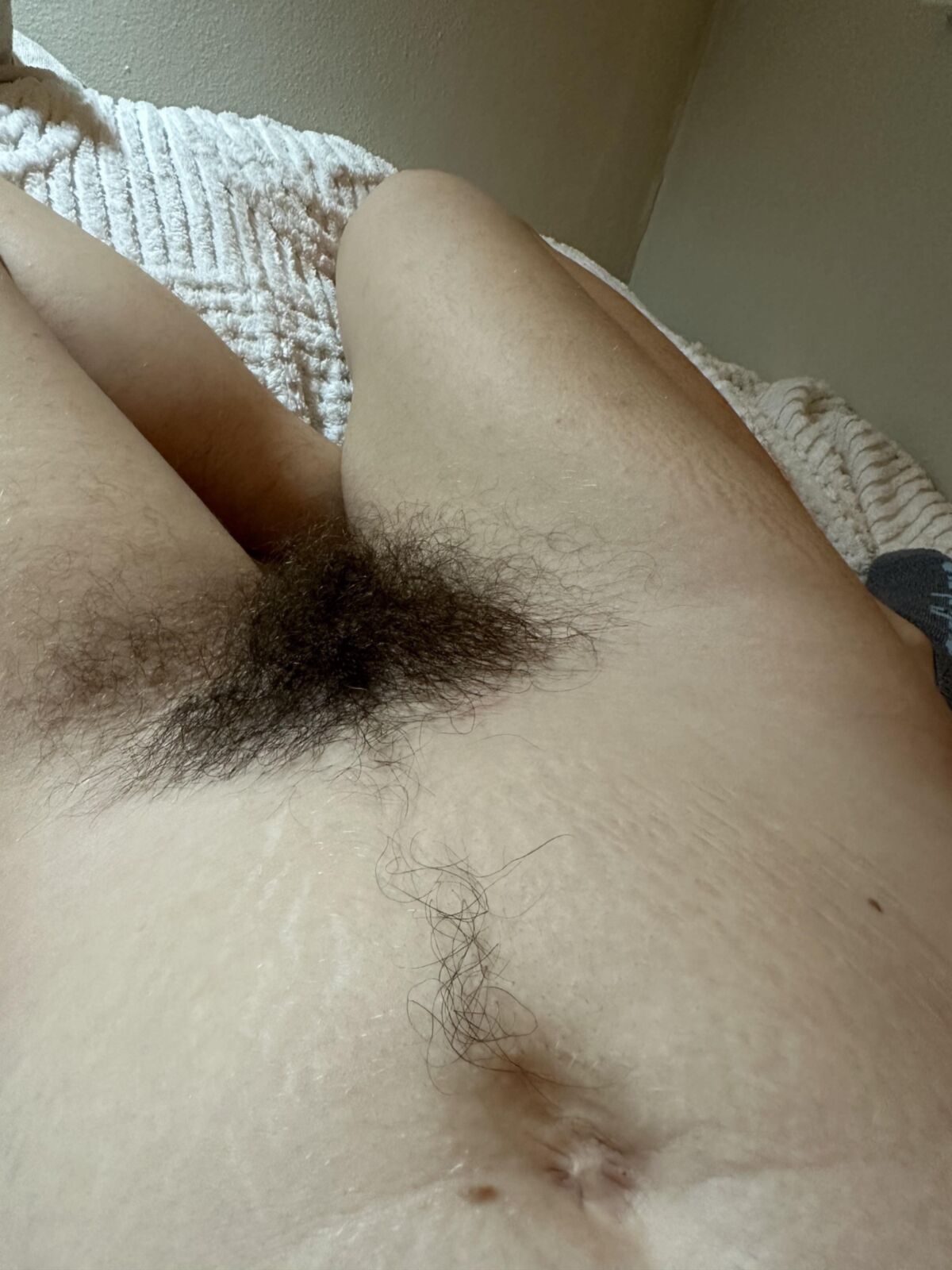 Seu pov peludo
