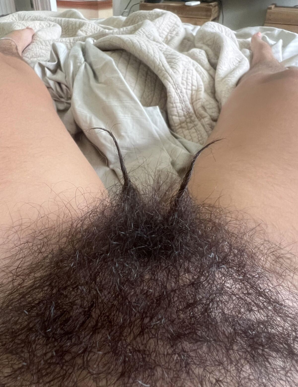 Seu pov peludo
