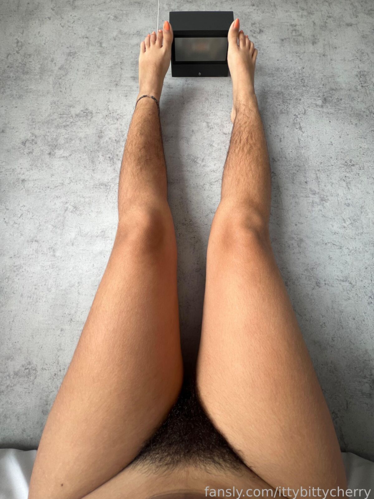 Seu pov peludo
