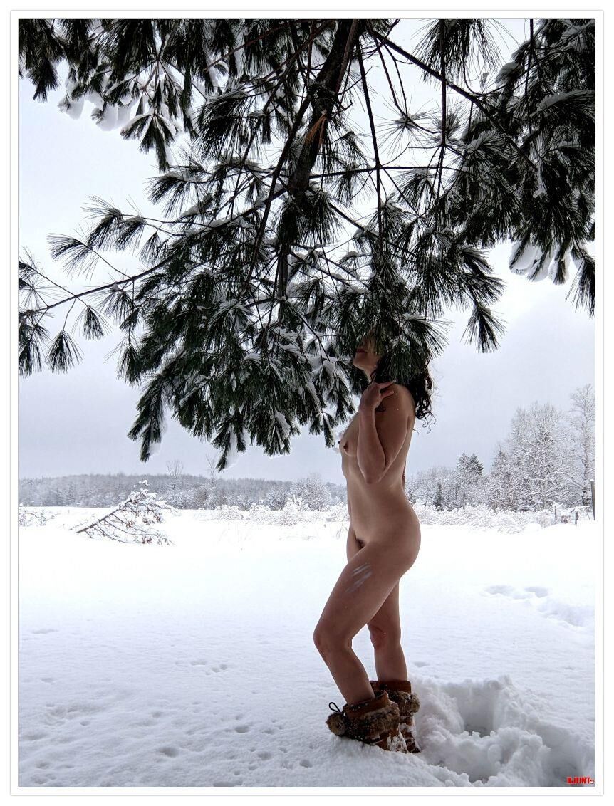 In the woods (erotic)