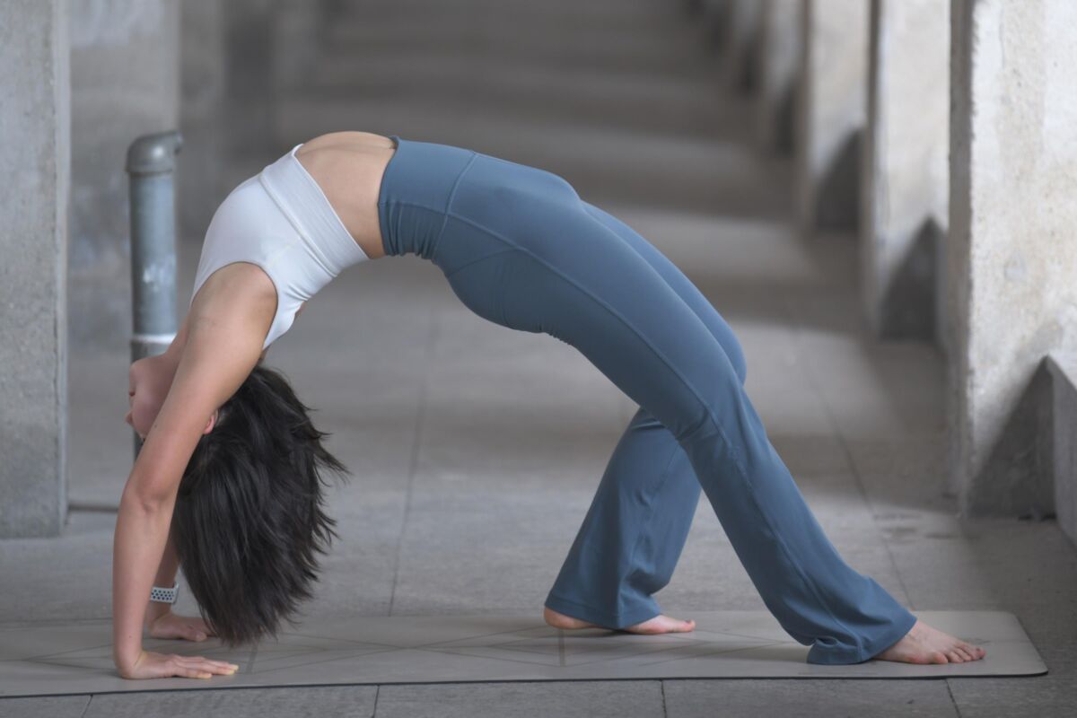 Fit Asia 