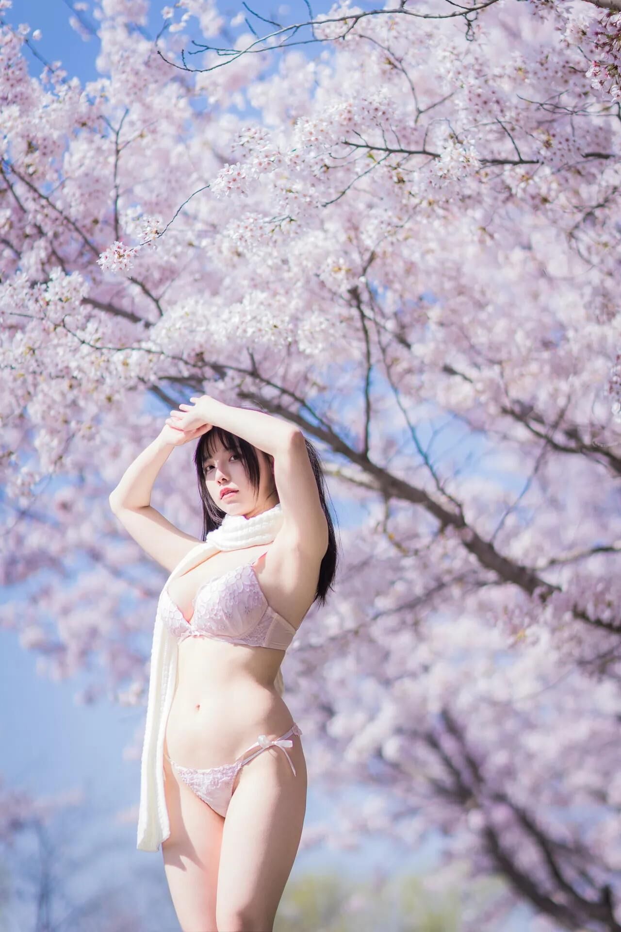 Six Flavors Emperor Sauce Sakura Girlfriend