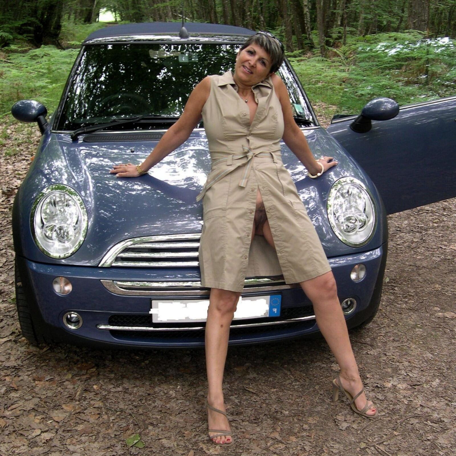 Vehicles, MINI edition