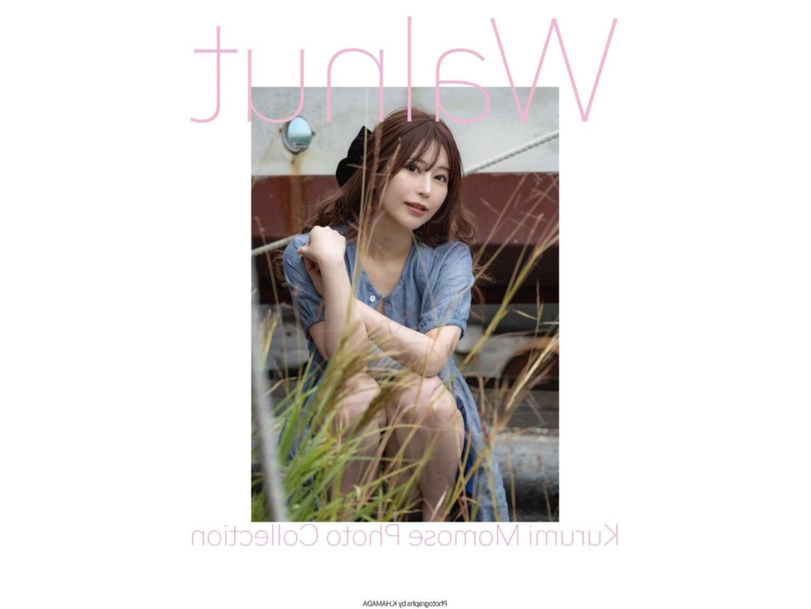 Kurumi Momose Walnut HMJM