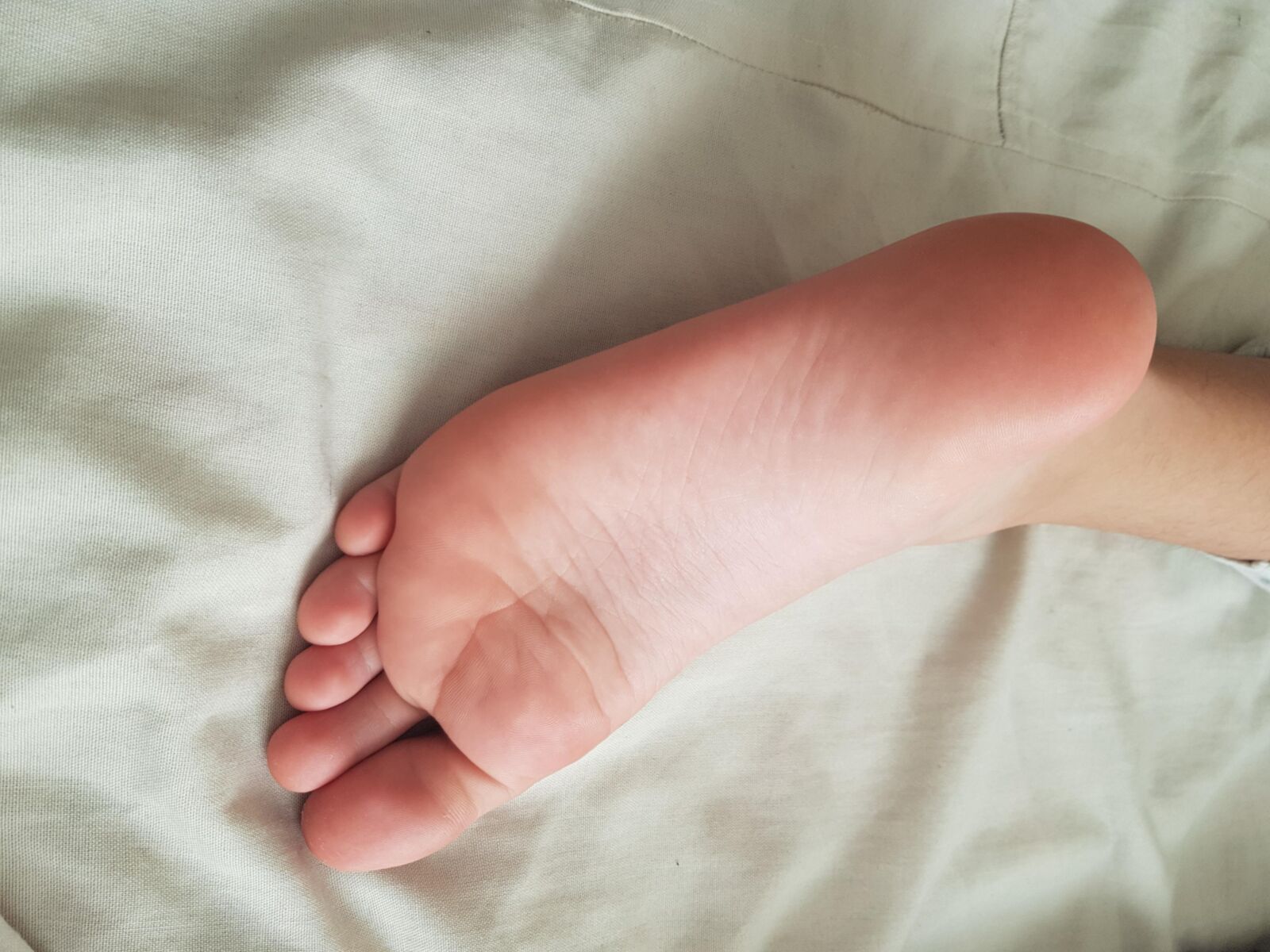 ネバヤルシントルコの眠っているピンクのソール