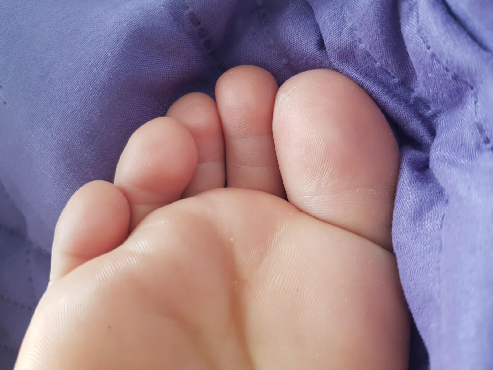 ネバヤルシントルコの眠っているピンクのソール