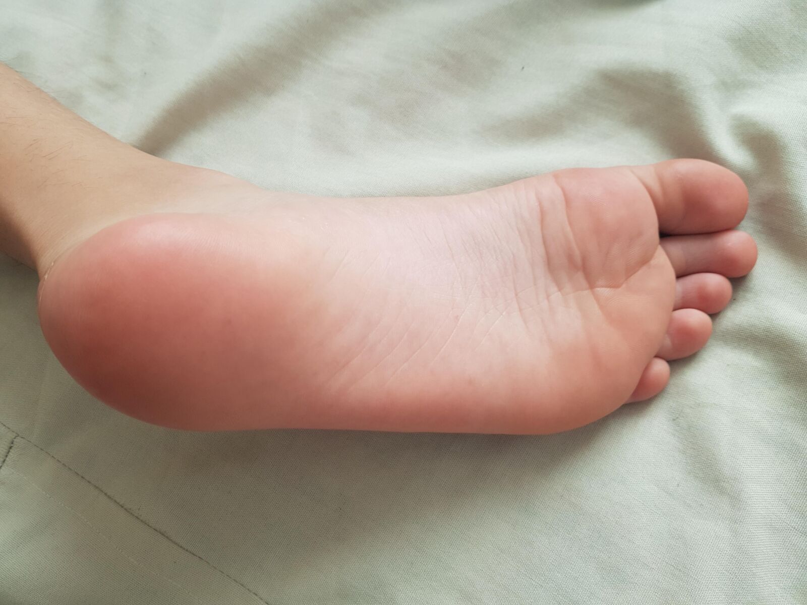 ネバヤルシントルコの眠っているピンクのソール