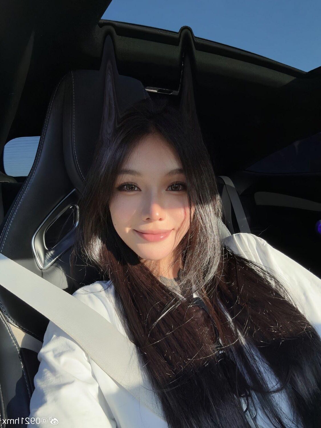 中国のアジアのゴス・バディの女
