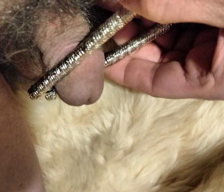 Playing with my dick