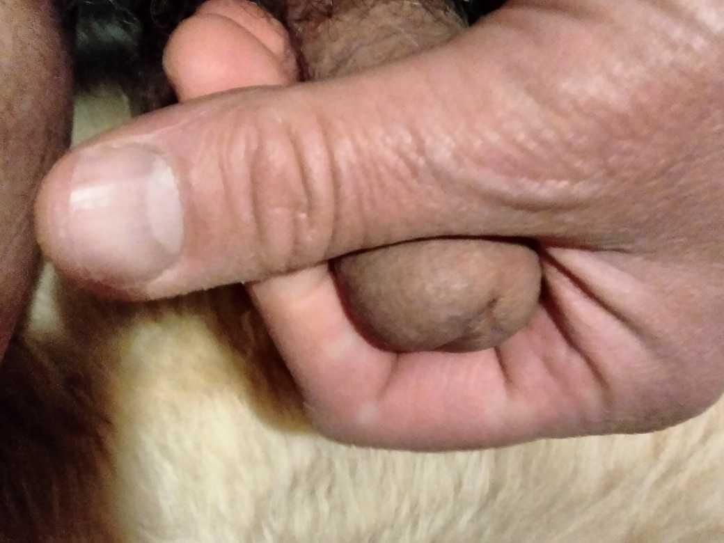 Playing with my dick