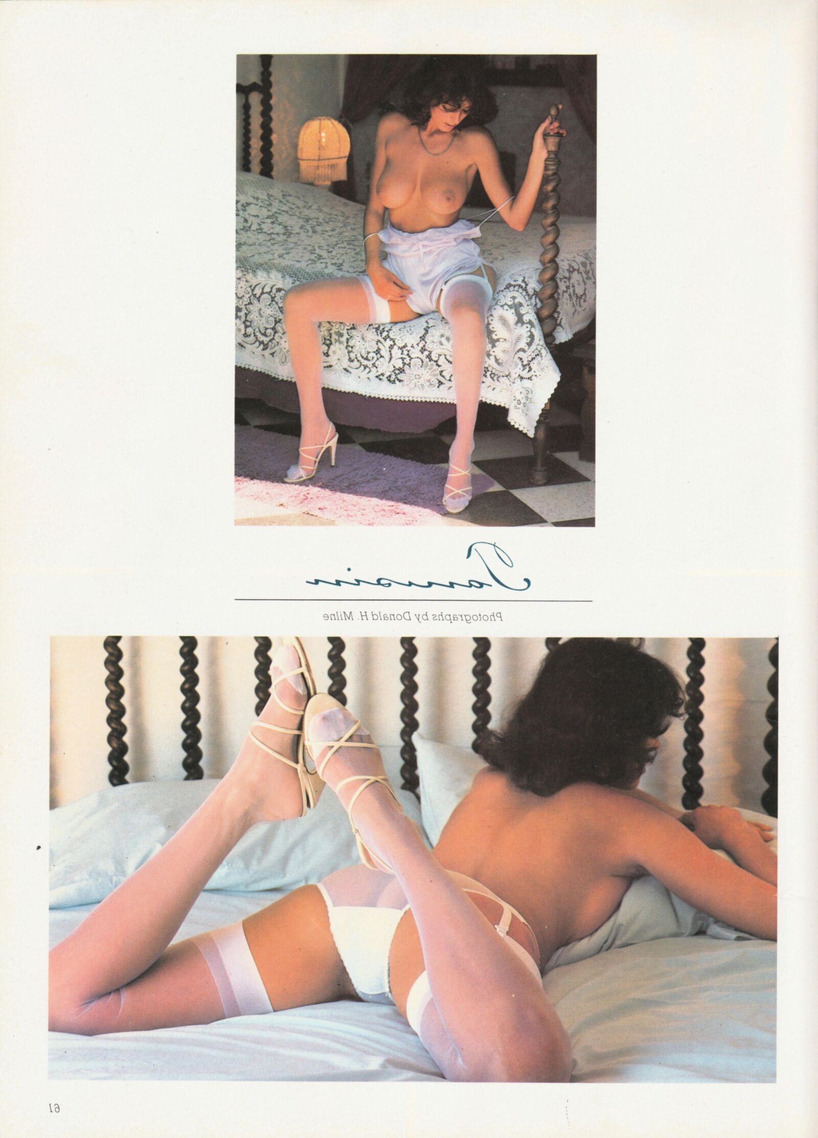 Vintage wank log 