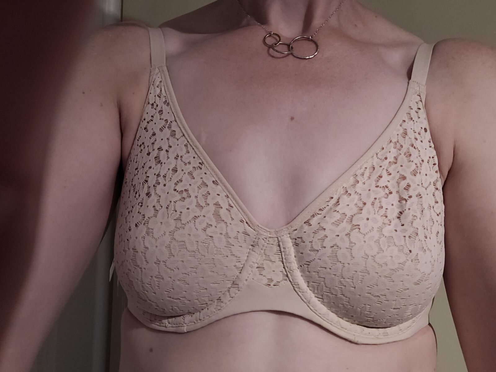 Beautiful Bras and their Breasts