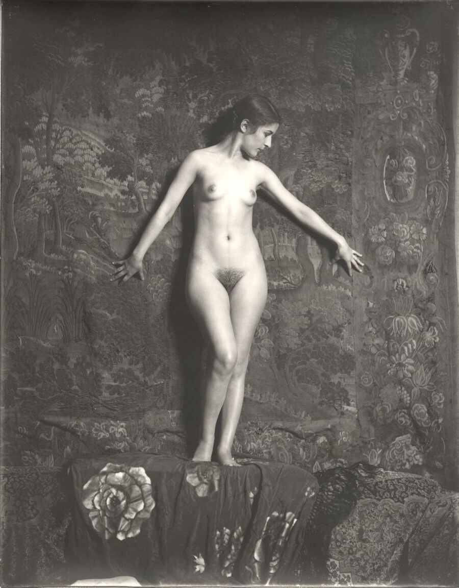 Wolf Vintage Charming Beauties Group 