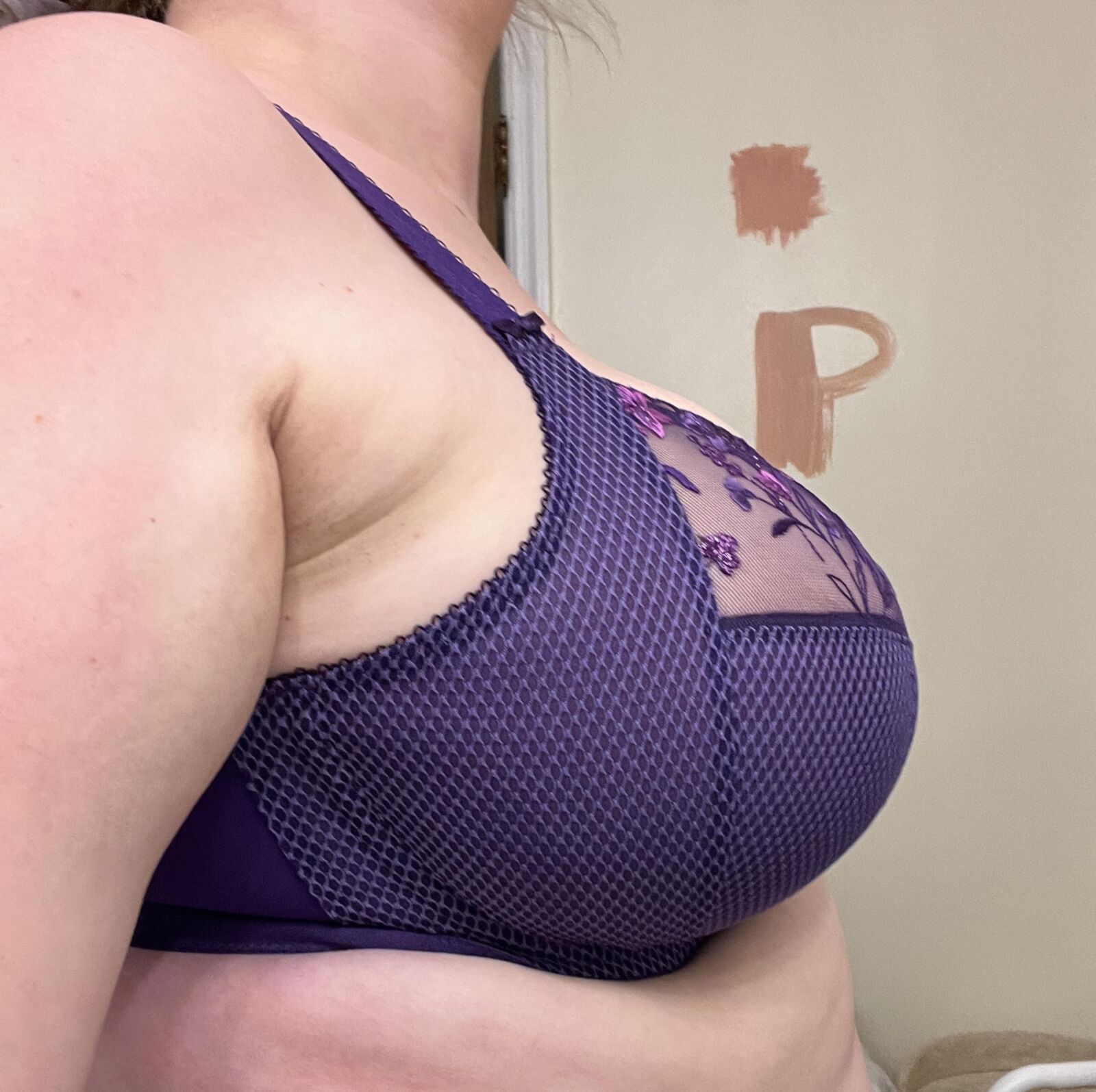 Beautiful Bras and their Breast 