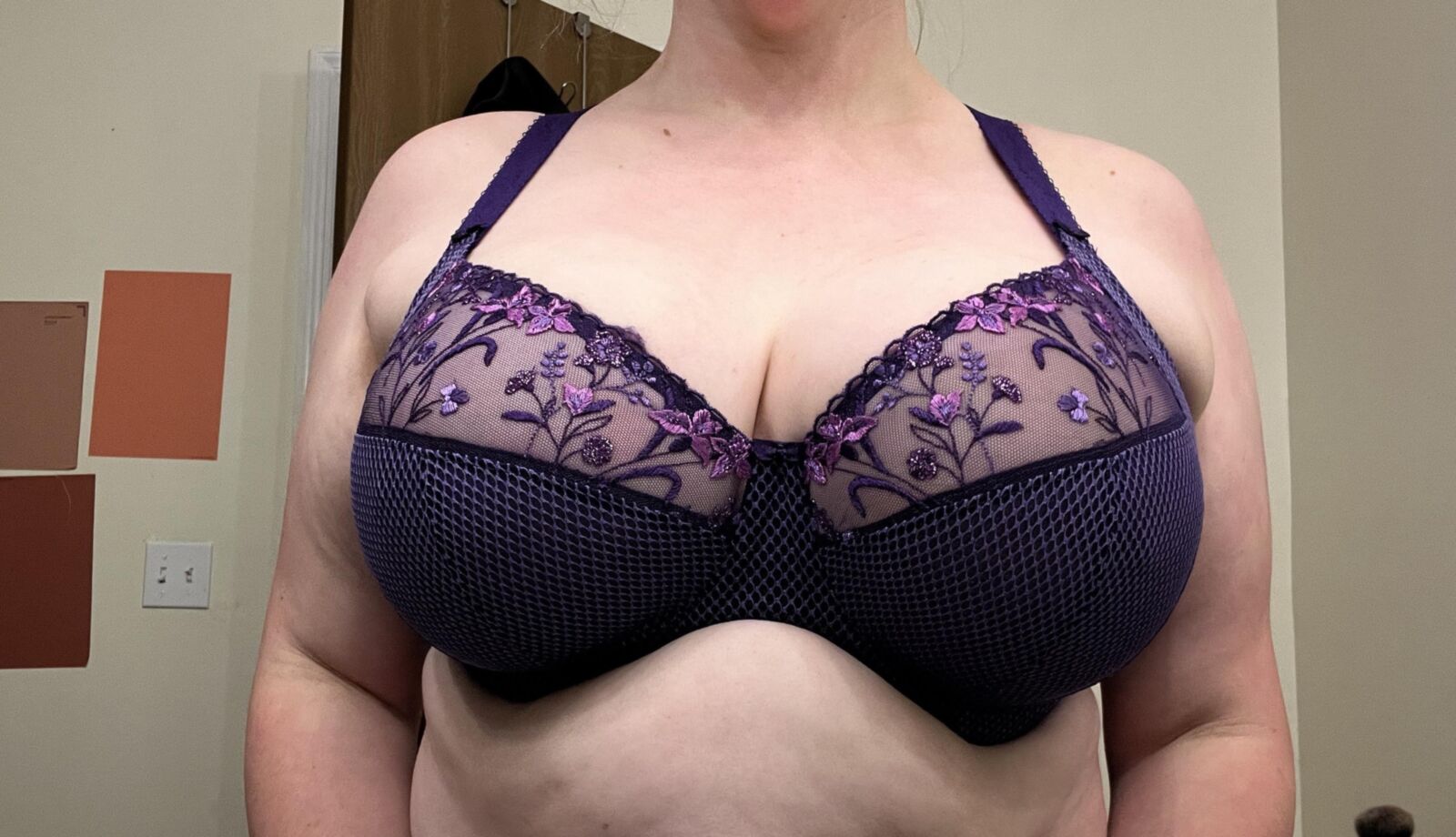 Beautiful Bras and their Breast 