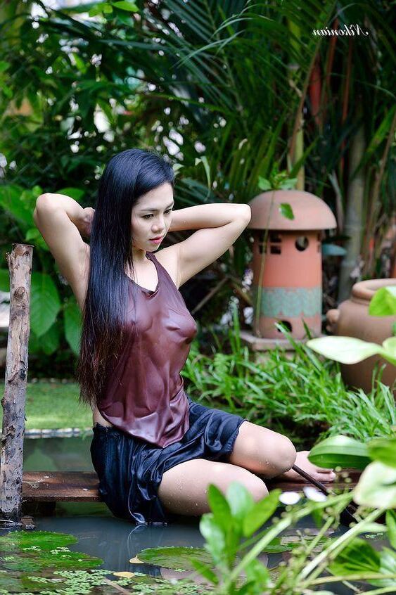AO yem Collection