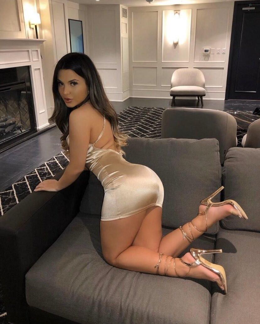 Legs 