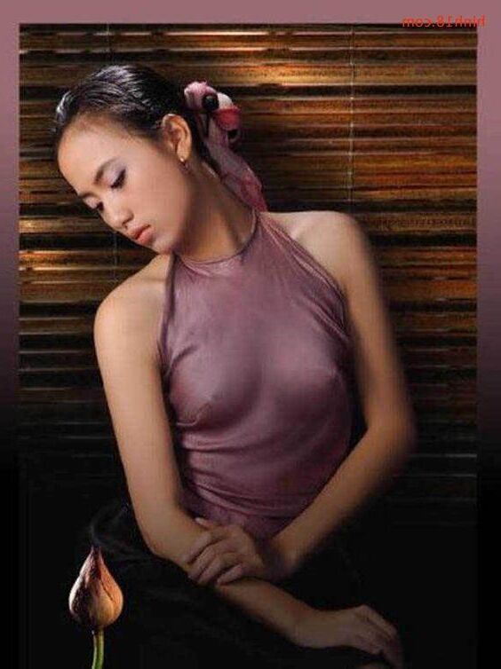 AO yem Collection