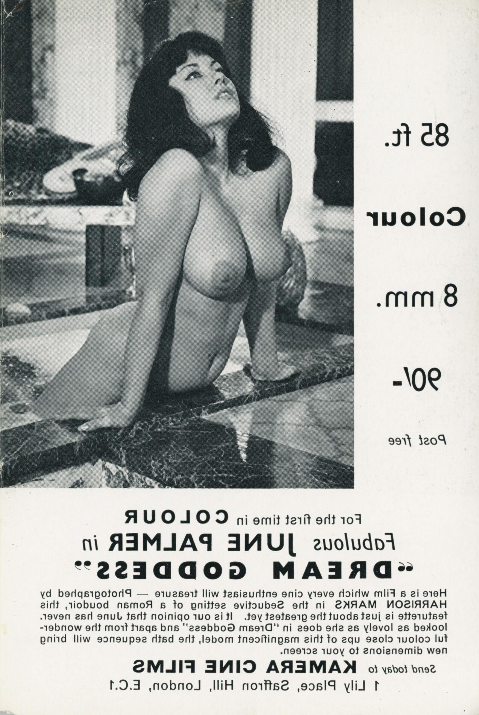Revista Kamera