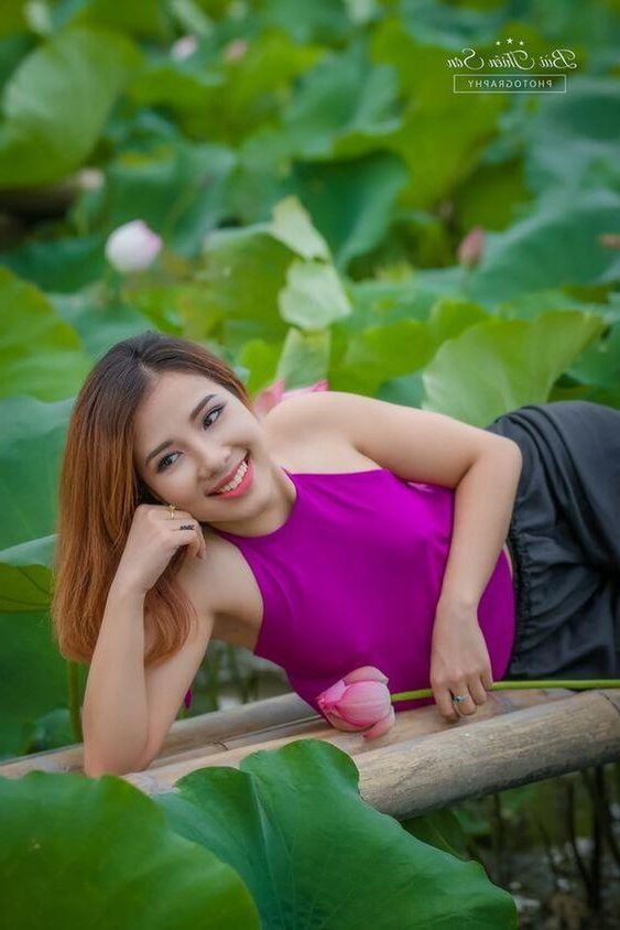 AO yem Collection