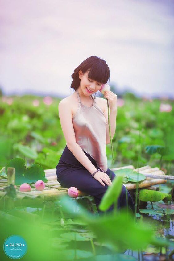 AO yem Collection